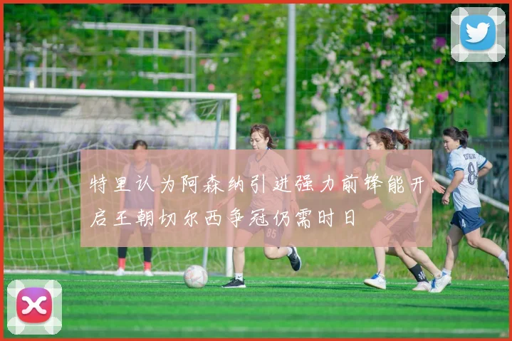特里认为阿森纳引进强力前锋能开启王朝切尔西争冠仍需时日